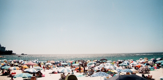 旬の海鮮やアドベンチャーワールドに日本一白い砂浜！？など「白浜温泉」おすすめ観光スポット10選