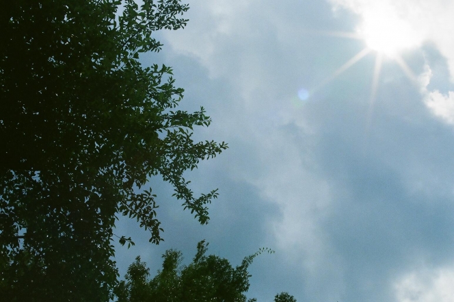 ドライバー必見！夏のドライブで脱水症状に！その原因と対策は？