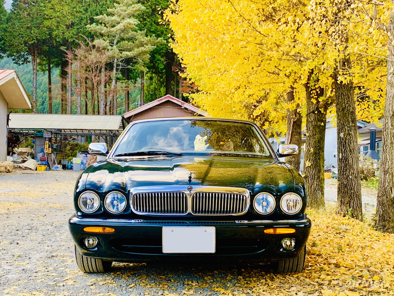 都内でも維持費ゼロで車に乗れる! ジャガーXJで挑戦してみた