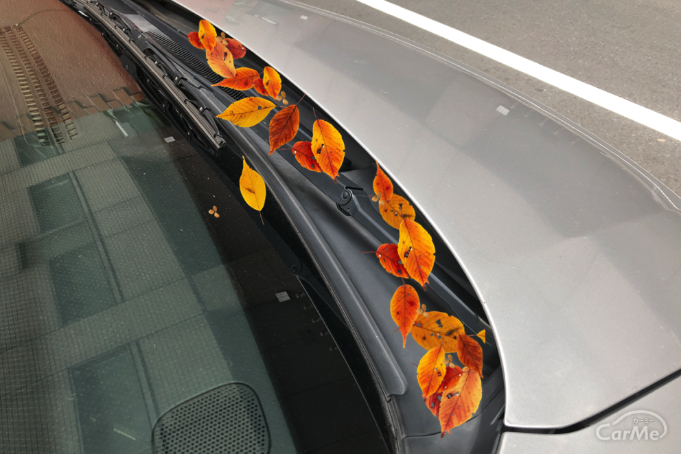 ボンネットの隙間に落ちた葉っぱ。これって取り除くべき？