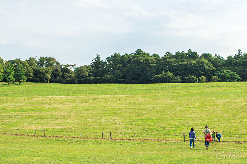 新しいキャンプの教科書：第10回「撤収は次回のことを考えて」