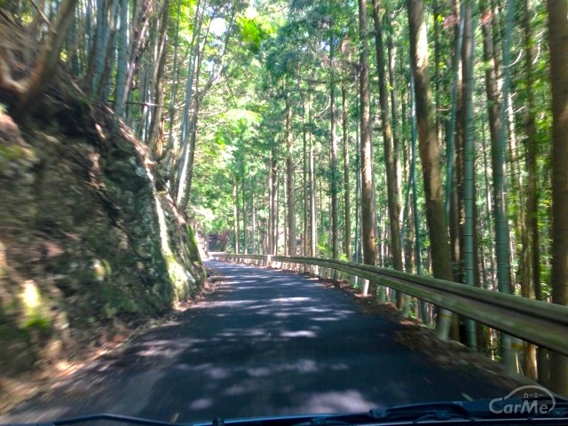 狭い山道で対向車と鉢合わせ！登りと下り、どちらが優先？