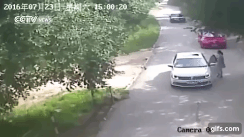 閲覧注意 サファリパークで車の外に出るとこうなる。虎に襲われる恐怖。