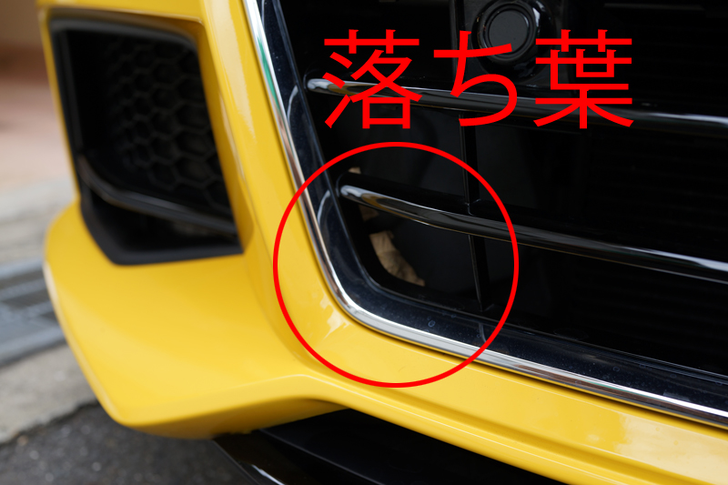 アウディTTはじめての洗車。フロントグリルの構造は洗う/メンテにはちょっと厄介