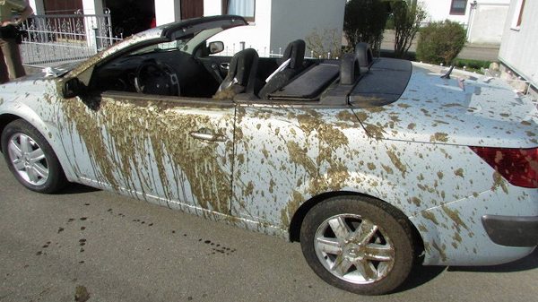 ドイツにて、オープンカーの近くにてトレーラーが横転しタンクの中身が車体に。中身は超悲惨なアレ