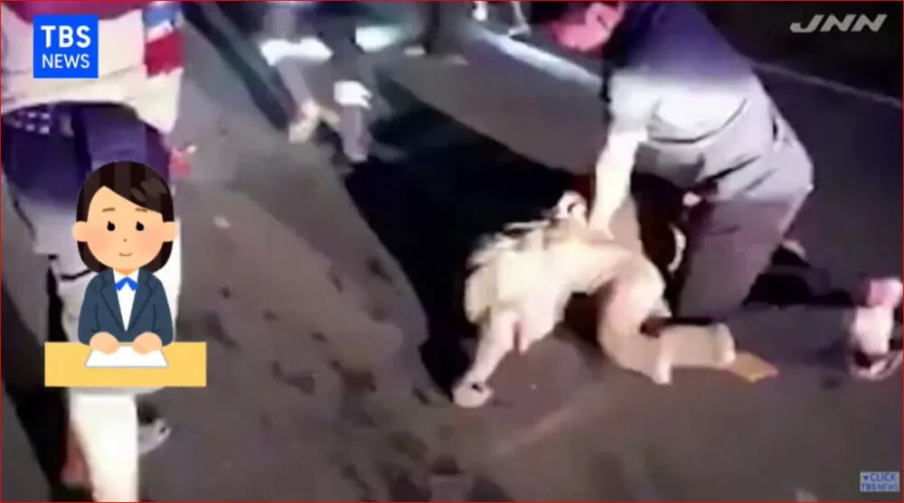バイクにはねられた赤ちゃんゾウに心臓マッサージ。