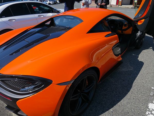 ドイツにて、ロバがオレンジのマクラーレンをニンジンと間違えて食べた模様。農村に罰金請求するも拒否され大モメに【動画有】