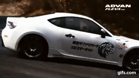 ドリフトで有名なエビスサーキット。お隣の動物園とドリフトする車の共演。