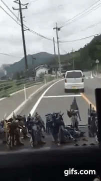 ポケモンGO やりながら危険運転するアホをとらえた車載映像が話題。